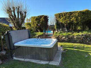 Plas Newydd with Swimming Pool, Fire Pit, and Log Fires - 8