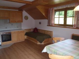 Russbachbauer - St. Wolfgang im Salzkammergut - 5