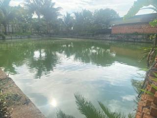 The Vyc Home - 6