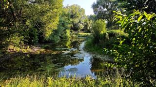 Siedlisko Urszulanka Dom - 1