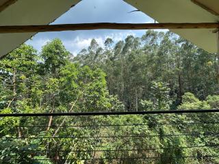 Tinkerbird Lodge - 2
