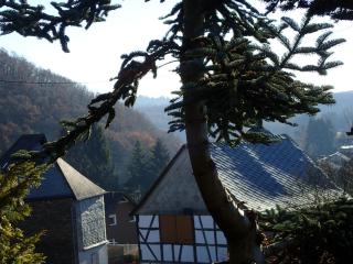vakantiehuis Hunsrück - Leisel - 6