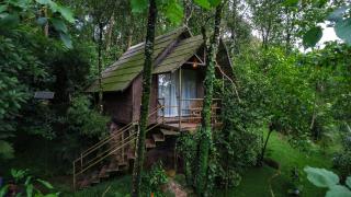 PANCHAVADI FARM STAY - 8