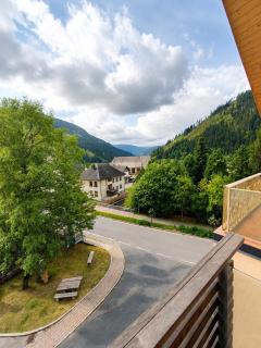 Cozy Mountain Retreat in Ebene Reichenau - 8