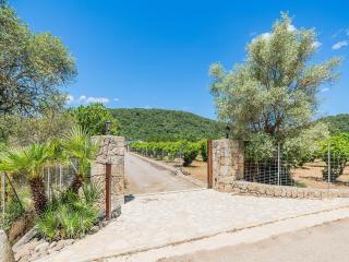 Rural Majorcan Country Villa with Pool - 2