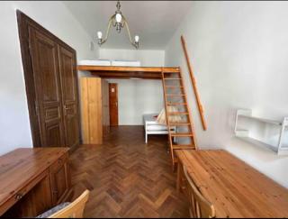 Central cozy rooms Soukenická S21 - 5