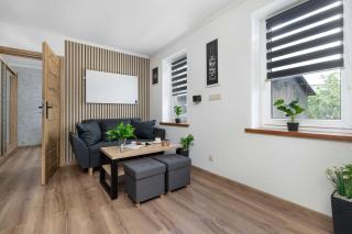Elegant and Modern Apartment in Katowice for 3 People by Noclegi Renters - 6
