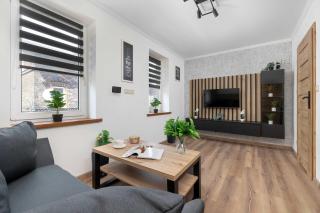 Elegant and Modern Apartment in Katowice for 3 People by Noclegi Renters - 5