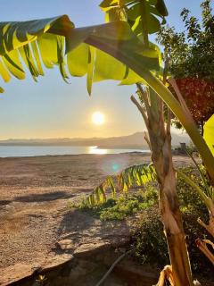 Villa Gamila, private Ferienwohnungen direkt am Meer mit Garten und Pool - 9