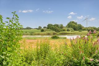 Haus am See - 9