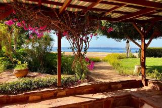 Villa Gamila, private Ferienwohnungen direkt am Meer mit Garten und Pool - 5