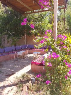 Abou El Leef villa - 6