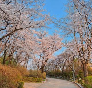 SEOUL Park Avenue - 1