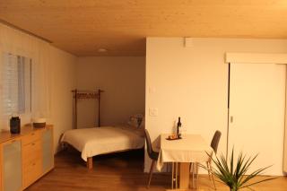 Ruhiges, schönes Studio in Zuchwil - 2