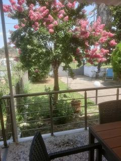 Magnolia House - 4