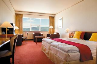 Hotel Ísland – Spa & Wellness Hotel - Reykjavík - 4