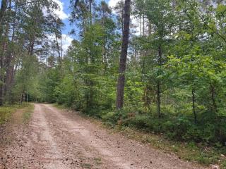 Haus am Wald - 4