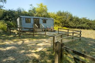 Cotswold Shepherd's Hut - 0