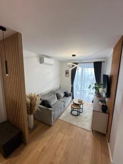 Apartament Aura - 8