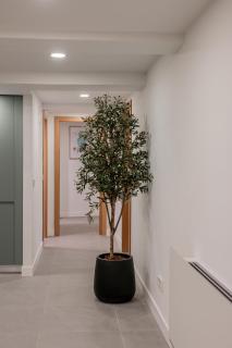 Welcomer Apartments La Latina - 4
