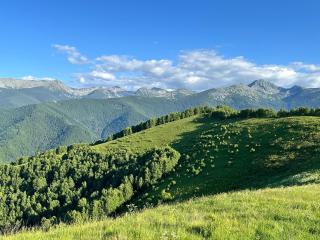 Camping Valea Călugărilor - 2
