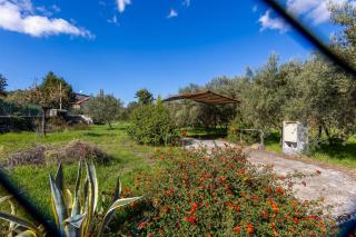 Vigna dell'Etna - 3