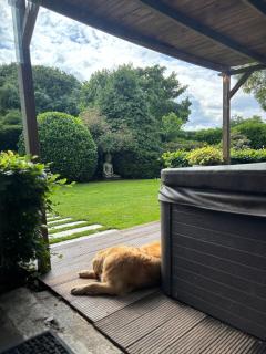 B&B Sonnegaerde - 1