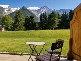 Beautiful Apartment with views of Mont Blanc - 9