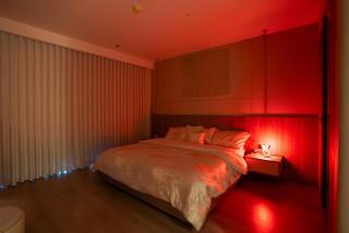 Royal view - 9