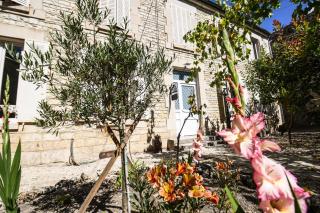 Les crins du vignoble - 0