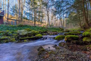 Harvey Mountain Lodge by State Forest - 8