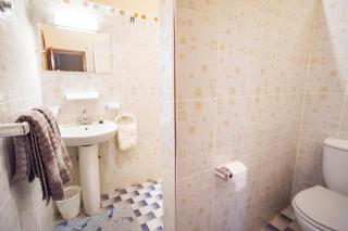 Charming house with pool in Zagora - 1