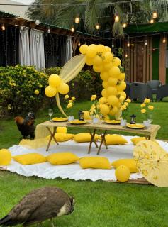 Picnic garden - 4