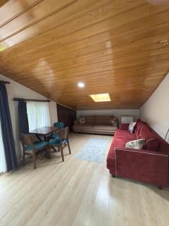 Özen Villa Uzungöl - 3