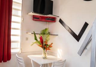 Appartement confortable à Lamentin 30 m² avec vue montagne - Lamentin - 9