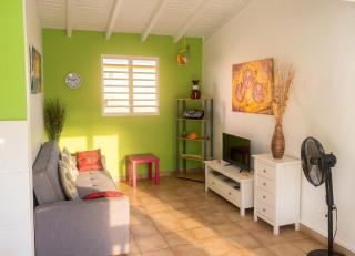 Appartement charmeur à Sainte-Anne, 40 m², jardin - 7