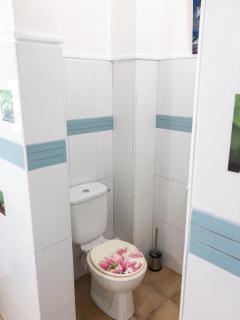 Appartement charmeur à Sainte-Anne, 40 m², jardin - 4