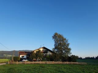 Schneiderhof Ferienwohnung mit Alpenblick - 4