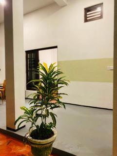 Luxury oasis - 5