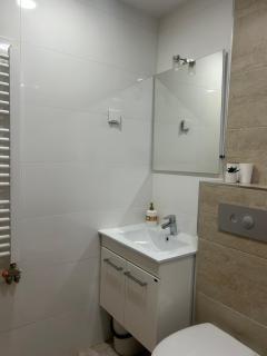 Rakic Family Apartment Zlatibor - 1
