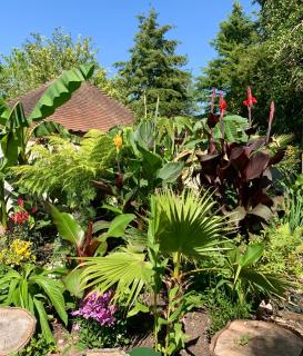 Daisy Cottage - 3