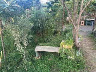 Guest House David - 5