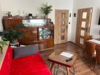Apartmán U Bláhovky - Brno - 7