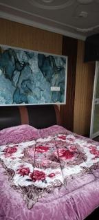 Elizabeth paying guest house Tangmarg gulmarg - 8