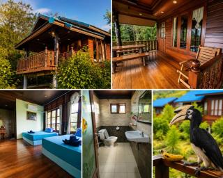 Koh Phaluay Eco Resort - 6