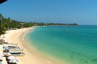 Summer Surf House - Baie d'Arugam - 7