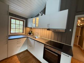 Large cabin near the lake, boat can also be rented - 4