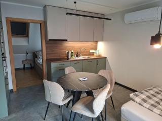 Apartament 8 KLIMATYZACJA OpolskieNoclegi - 2