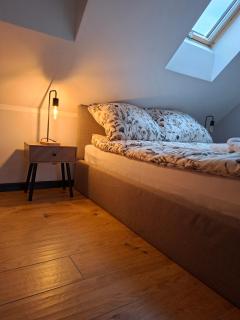 Apartament 8 KLIMATYZACJA OpolskieNoclegi - 5