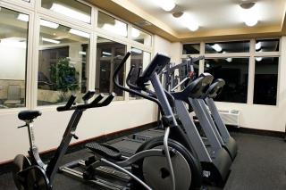 Holiday Inn Hotel & Suites-West Edmonton by IHG - 4